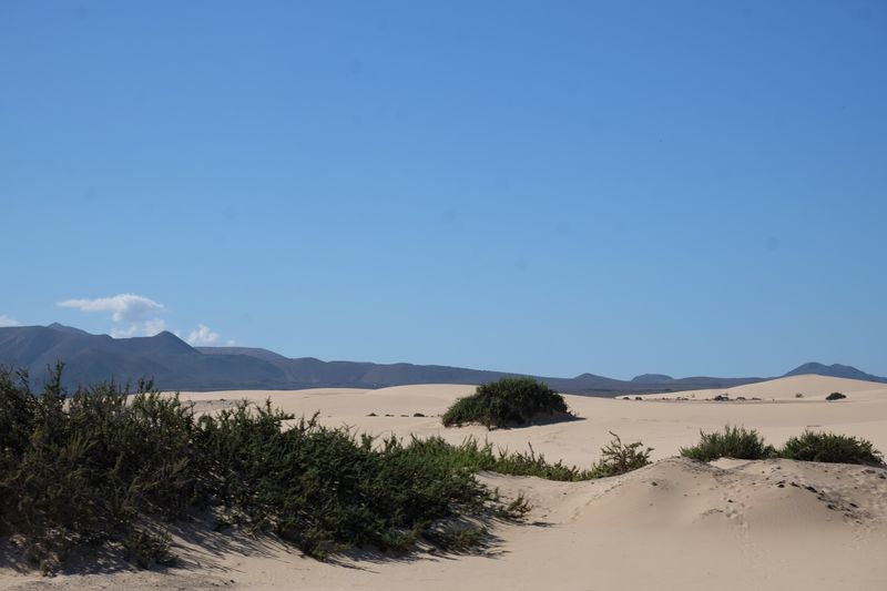 desert fuerteventura moto