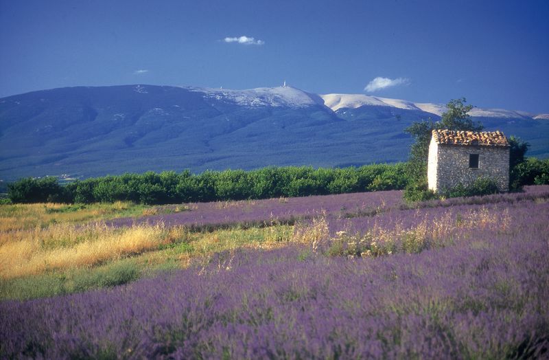 53 provence motorcycle tour france
