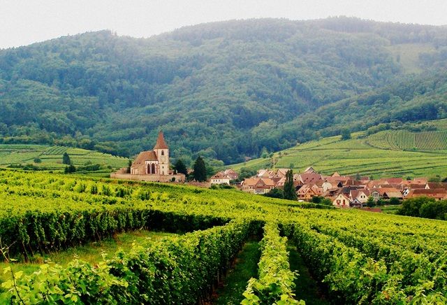 vino Alsacia alsacia viaje motocicleta francia vino