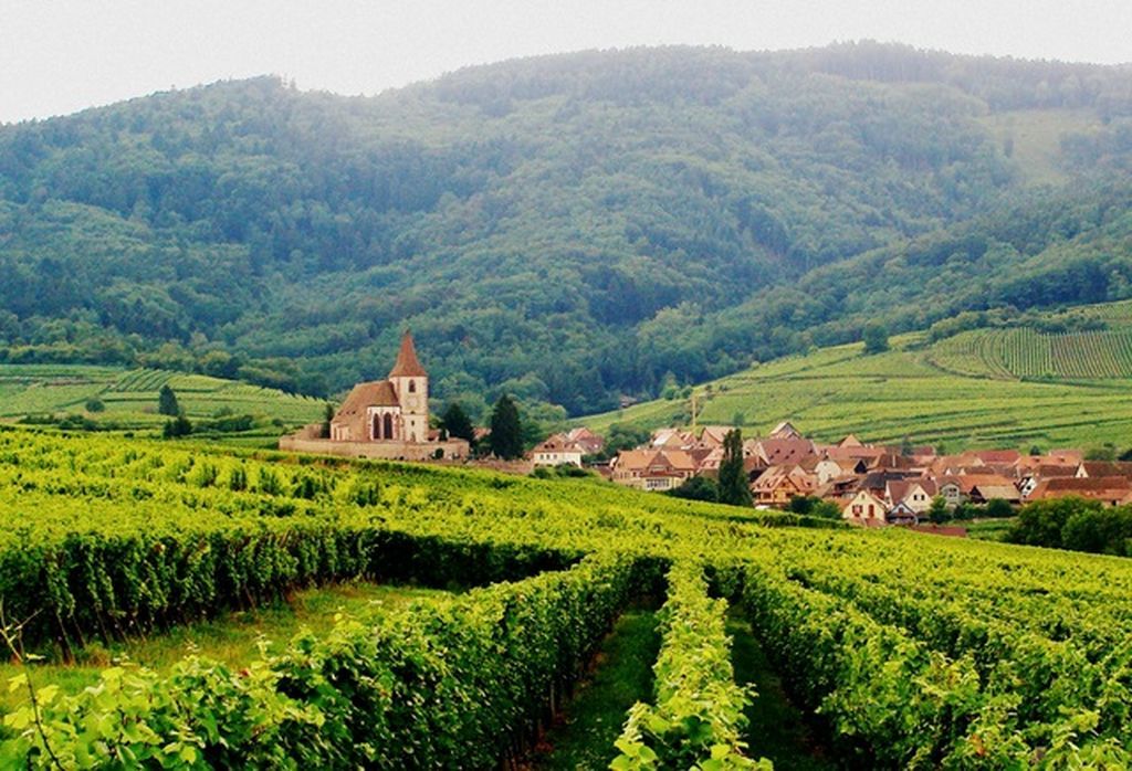 Alsace vineyard alsace vineyard motorcycle touring france