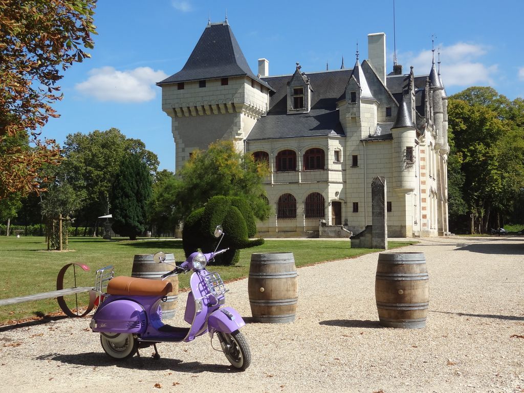 Vineyard of Chinon vintage-scooter-vineyard